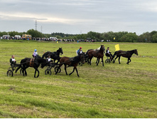Photo 2 2023-08-05 13-38-51.jpg
