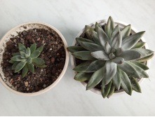 IMG 20230813 175247 339[1].jpg