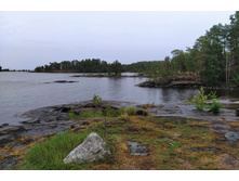 IMG 20230721 165307.jpg