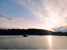 IMG 20230720 205852.jpg