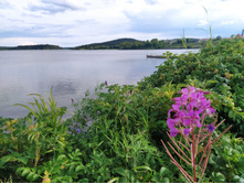 IMG 20230720 183128.jpg