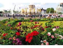 IMG 20230701 180351.jpg