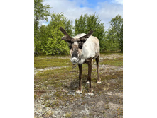 2023-06-22 10-44-39.jpg