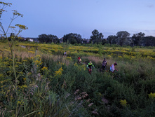 PXL 20230803 174054735.jpg