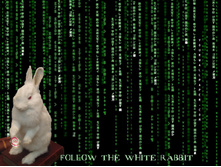 Naturally Debian-Follow The White Rabbit.jpg