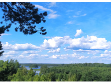 IMG 20230716 150959.jpg