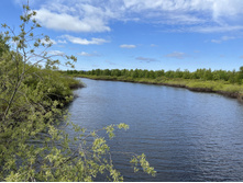 2023-06-22 13-05-18.jpg