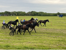 Photo 18 2023-08-05 13-38-51.jpg