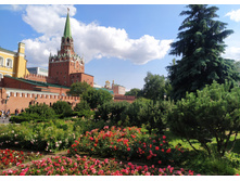 IMG 20230702 160453.jpg