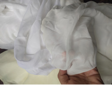 ���� �����, ������, �������