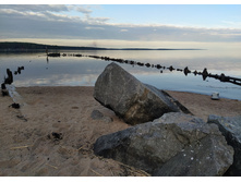 IMG 20230715 201542.jpg