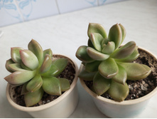 IMG 20230813 175050 422[1].jpg