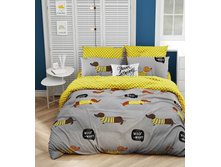 ����� ������ 220 �� ������+���������