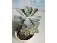 IMG 20230813 175351 062.jpg