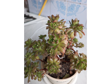 IMG 20230813 174725 627[1].jpg