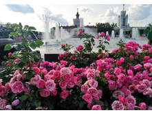 IMG 20230701 181519.jpg