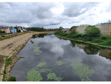 IMG 20230714 124356.jpg