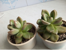 IMG 20230813 175048 510[1].jpg