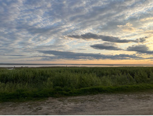 Photo 4 2023-08-05 13-39-04.jpg