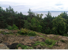 IMG 20230719 141240.jpg