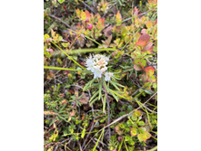 2023-06-20 19-55-19.jpg