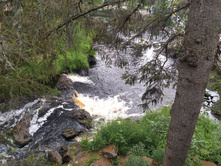 IMG 20230720 141721.jpg