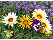 IMG 20230913 155926.jpg