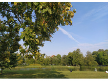 IMG 20230912 160957.jpg