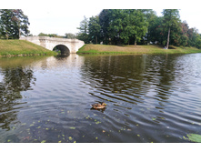 IMG 20230913 153249.jpg