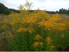 20230820 ����� ����� 113956.jpg