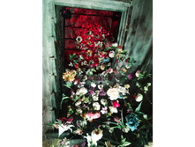 IMG 20230911 205951.jpg