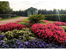 IMG 20230913 162648.jpg