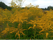 20230820 ����� ����� 113951.jpg