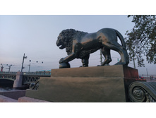 IMG 20230912 193435.jpg