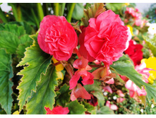 IMG 20230912 142856.jpg