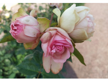 IMG 20230913 142214.jpg