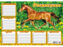 ���������� �4 � ��������� "������" ���-08