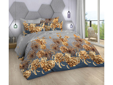 �������� ���� 220 ��