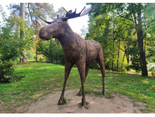 IMG 20230913 140028.jpg