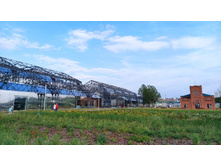 IMG 20230820 163651.jpg