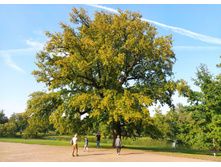 IMG 20230912 160617.jpg