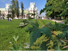 IMG 20230910 134448.jpg