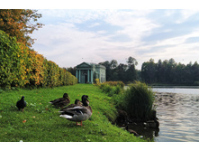 IMG 20230913 162803.jpg