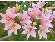 ����� ��������� ����� ������ 2��.jpg