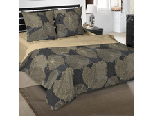 ������ ���� 220 �� ������+���������