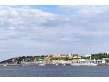 IMG 20230820 165353.jpg