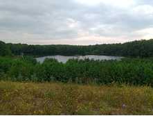 20230820 ����� ����� 101702.jpg