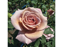 ���� ����.jpg