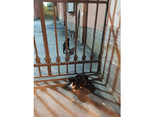 IMG 20230911 212933.jpg