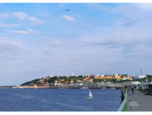 IMG 20230820 164625.jpg